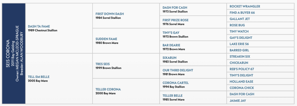 Seis Corona pedigree